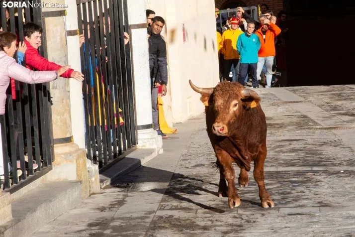 Encierro Fiestas Ágreda