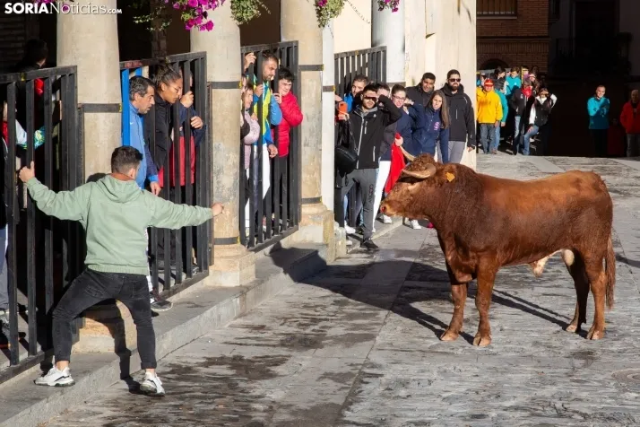 Encierro Fiestas Ágreda