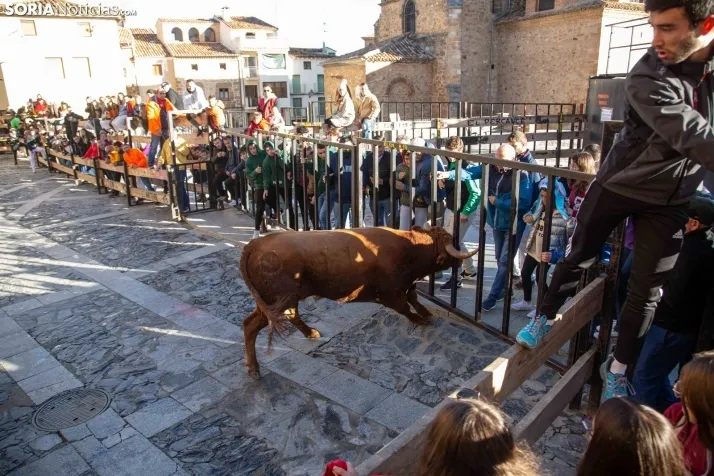 Encierro Fiestas Ágreda