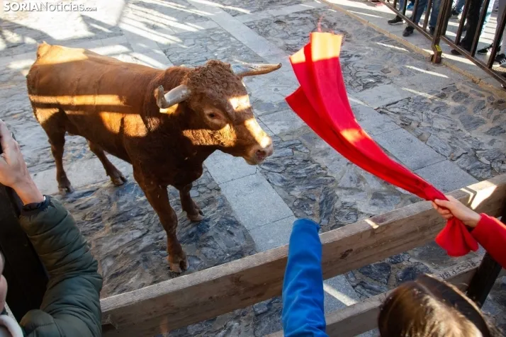 Encierro Fiestas Ágreda