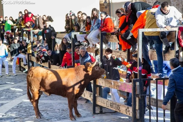 Encierro Fiestas Ágreda