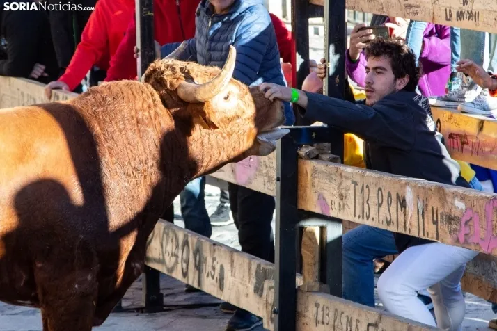 Encierro Fiestas Ágreda