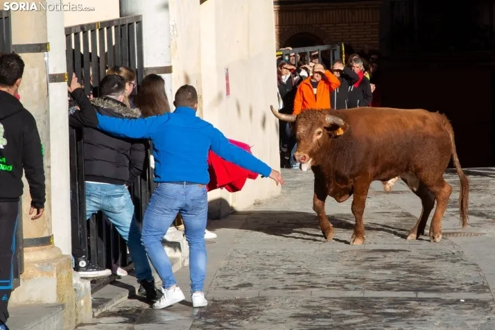 Encierro Fiestas Ágreda