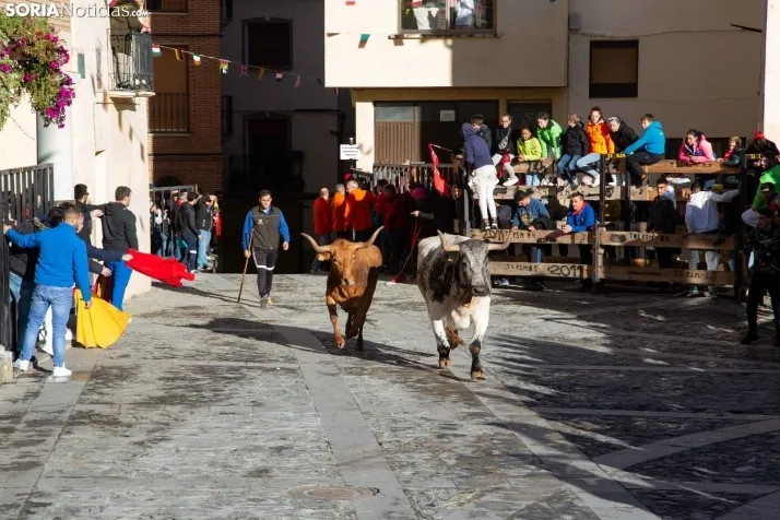 Encierro Fiestas Ágreda