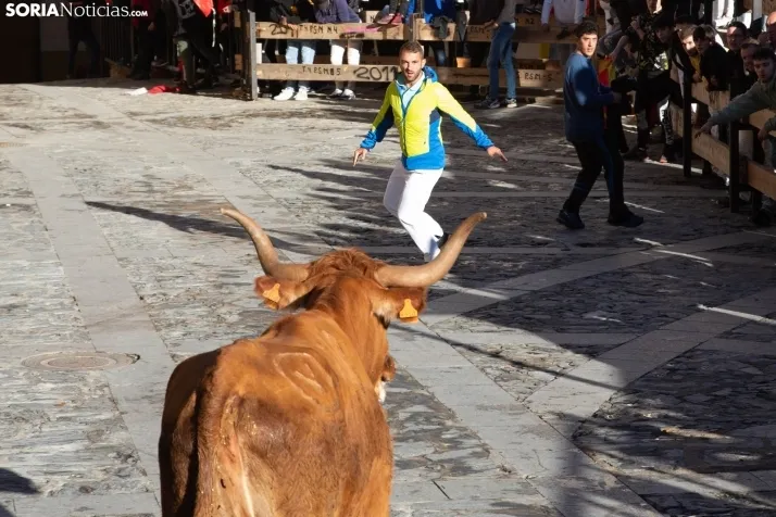 Encierro Fiestas Ágreda
