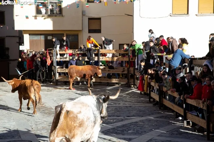 Encierro Fiestas Ágreda