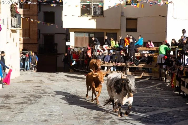 Encierro Fiestas Ágreda