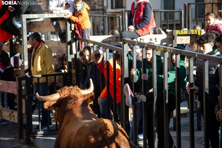 Encierro Fiestas Ágreda
