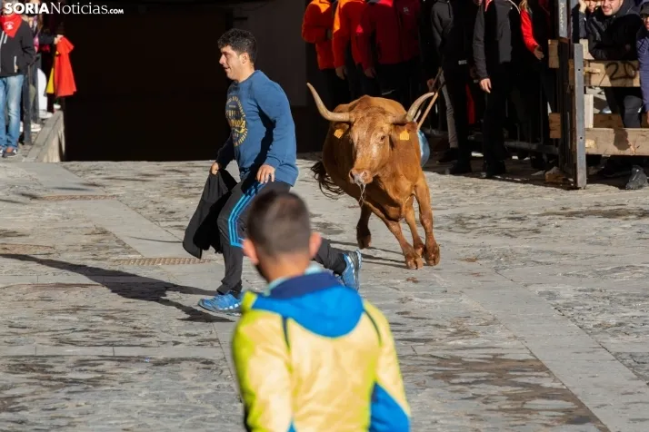 Encierro Fiestas Ágreda