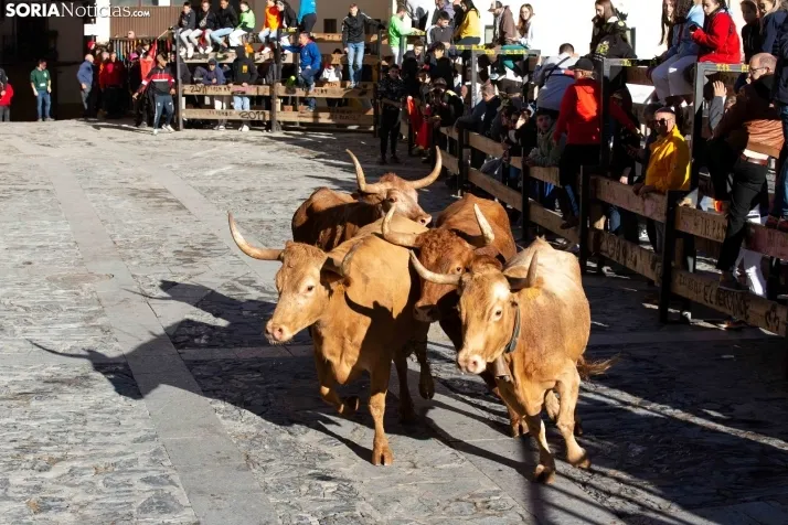 Encierro Fiestas Ágreda