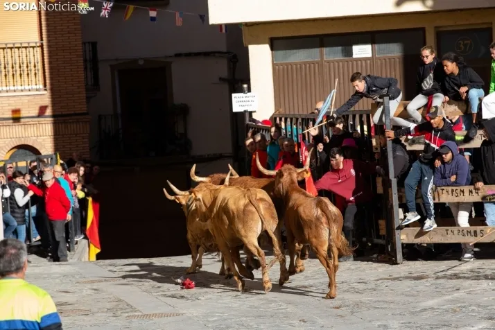Encierro Fiestas Ágreda