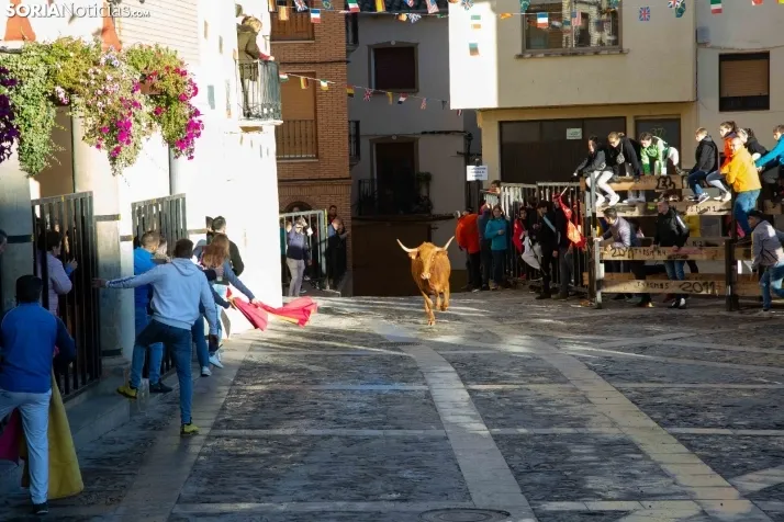 Encierro Fiestas Ágreda