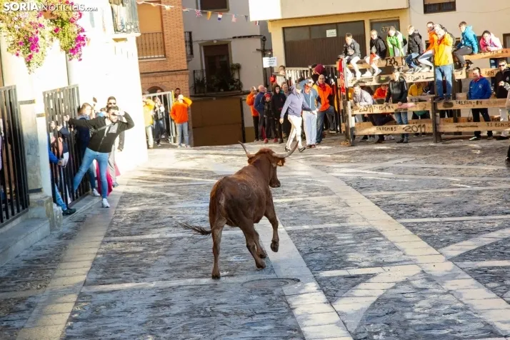 Encierro Fiestas Ágreda