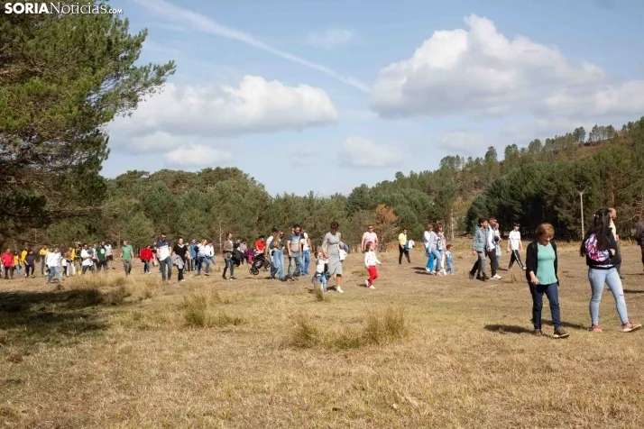 III Feria Cabforest