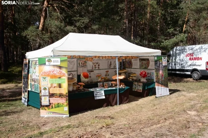 III Feria Cabforest