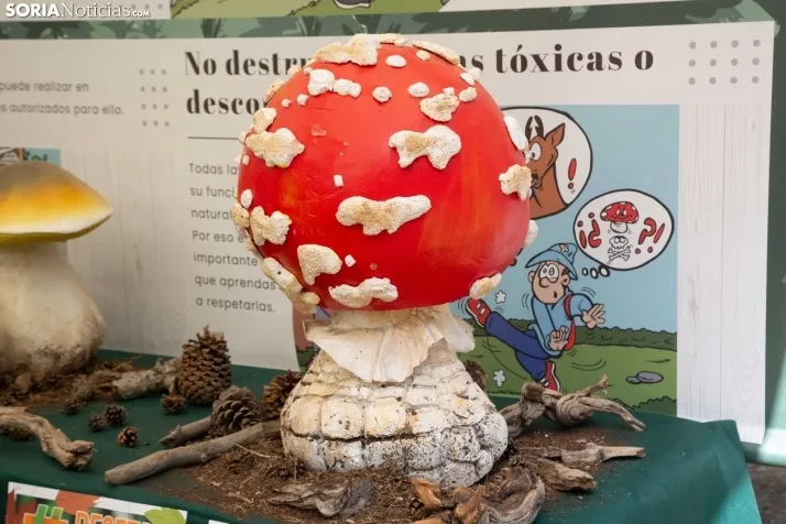 III Feria Cabforest