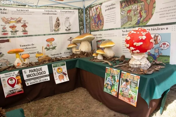 III Feria Cabforest