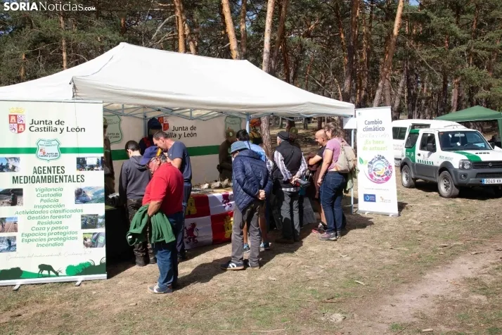 III Feria Cabforest