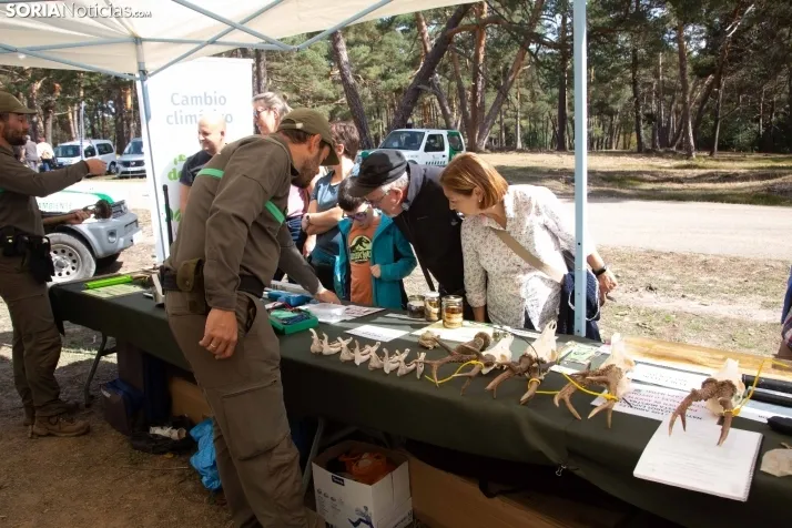 III Feria Cabforest