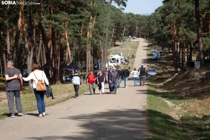 III Feria Cabforest