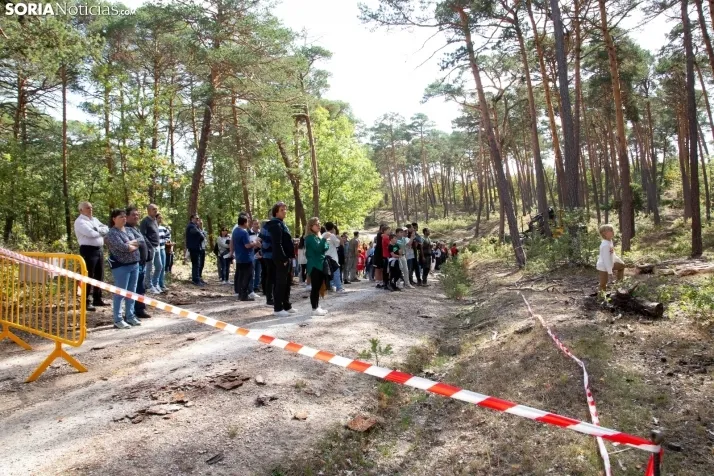 III Feria Cabforest