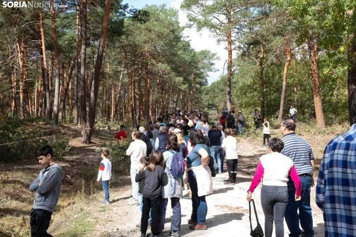 III Feria Cabforest