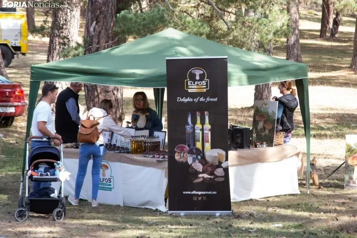 III Feria Cabforest