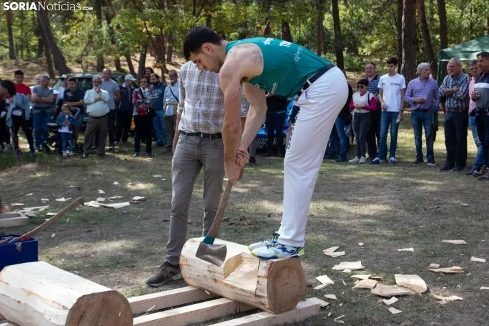 III Feria Cabforest