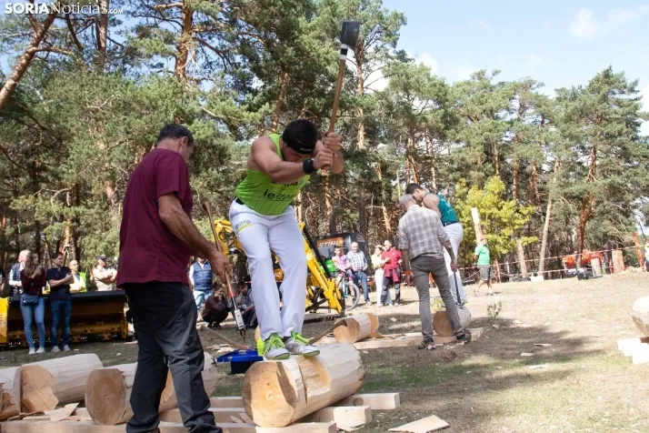 III Feria Cabforest