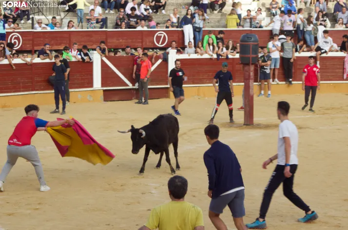 Vaquillas San Saturio 2022