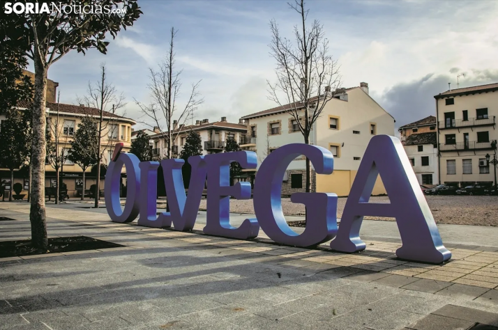 El Ayuntamiento de Ólvega destina cerca de 4.000&euro; a causas solidarias