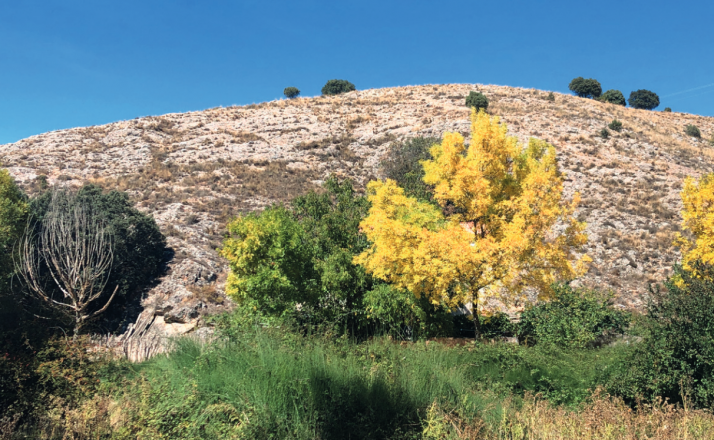 Hacedera, rehacer las normas urbanísticas para evitar una mayor despoblación