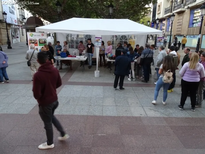 Una imagen del multitudinario acto celebrado por Asovica hoy. /SN