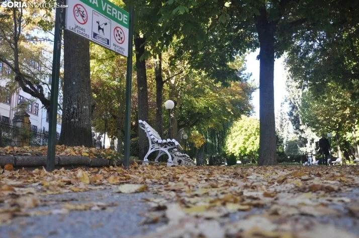 Dehesa en otoño. /SN