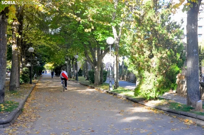 Dehesa en otoño. /SN