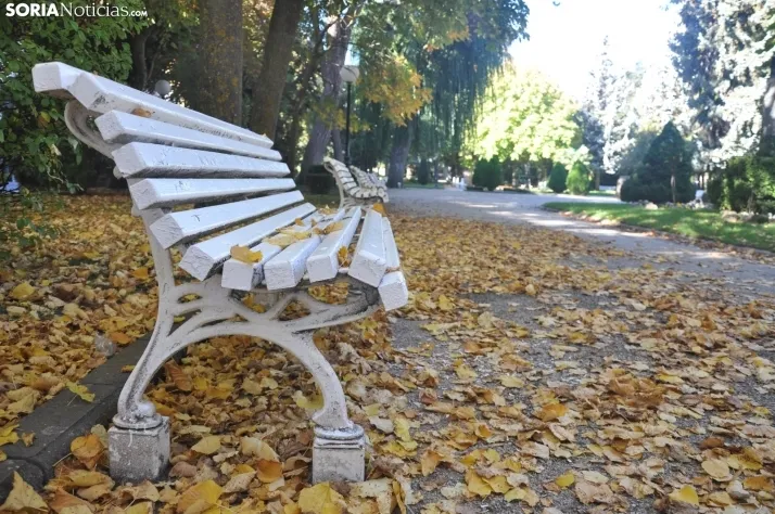 Dehesa en otoño. /SN