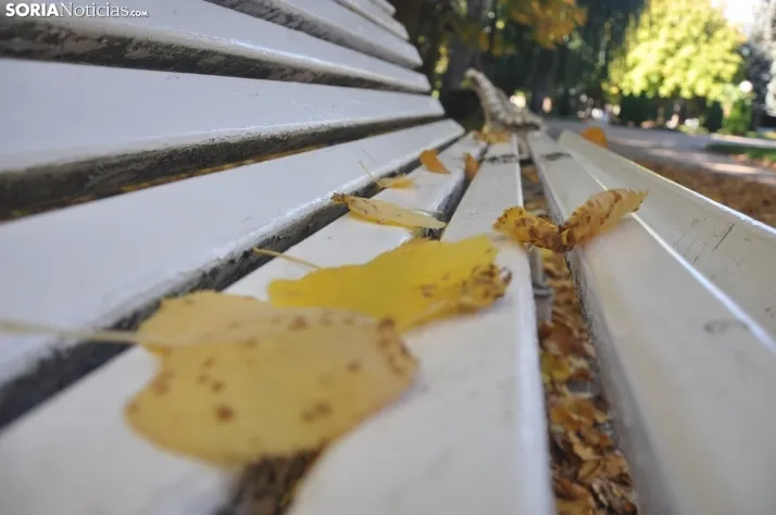 Dehesa en otoño. /SN
