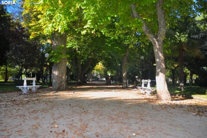Dehesa en otoño. /SN