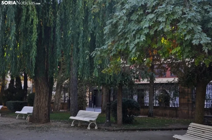 Dehesa en otoño. /SN