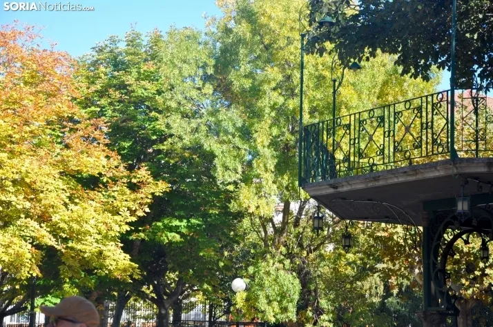 Dehesa en otoño. /SN