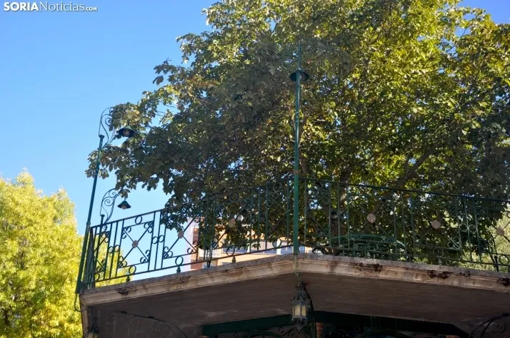 Dehesa en otoño. /SN