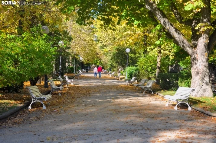 Dehesa en otoño. /SN