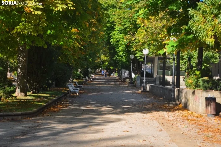 Dehesa en otoño. /SN