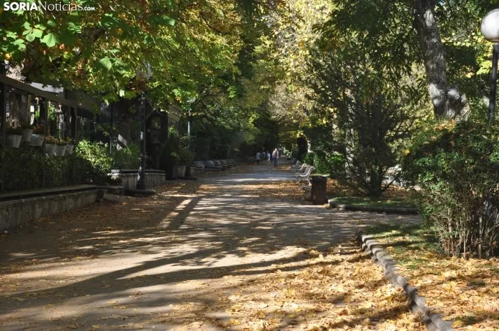Dehesa en otoño. /SN