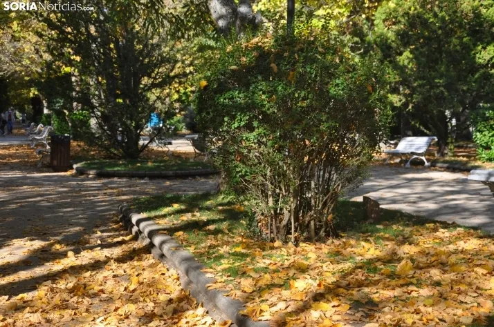 Dehesa en otoño. /SN