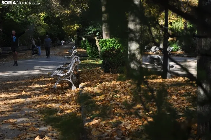 Dehesa en otoño. /SN