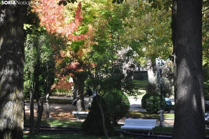 Dehesa en otoño. /SN