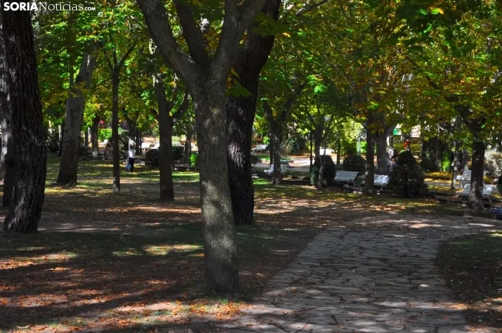 Dehesa en otoño. /SN