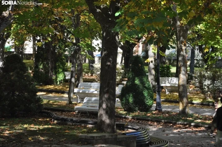 Dehesa en otoño. /SN