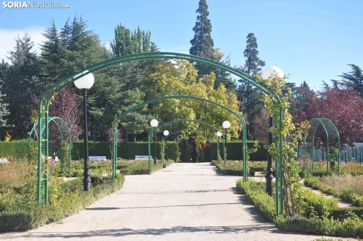 Dehesa en otoño. /SN
